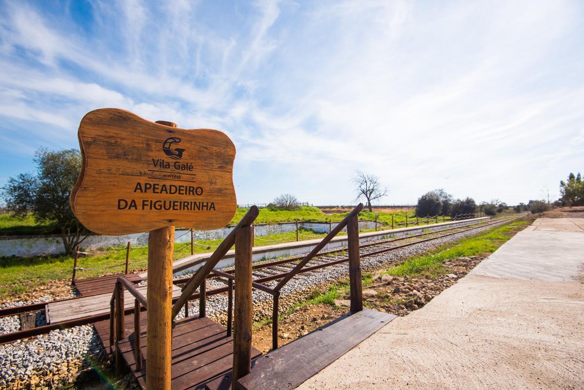 Vila Gale Alentejo Vineyard - Clube De Campo Albernoa Exterior photo