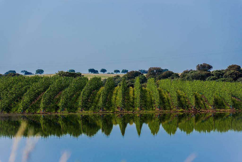 Vila Gale Alentejo Vineyard - Clube De Campo Albernoa Exterior photo