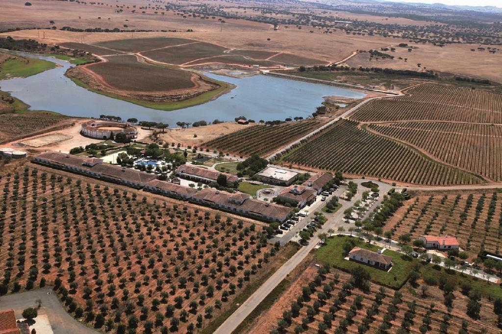 Vila Gale Alentejo Vineyard - Clube De Campo Albernoa Exterior photo